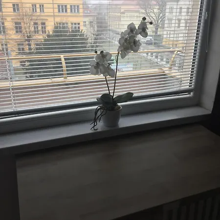 Old Town And Sightseeing *